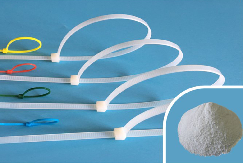 XS-CH-101 Nucleating Agent pro PA